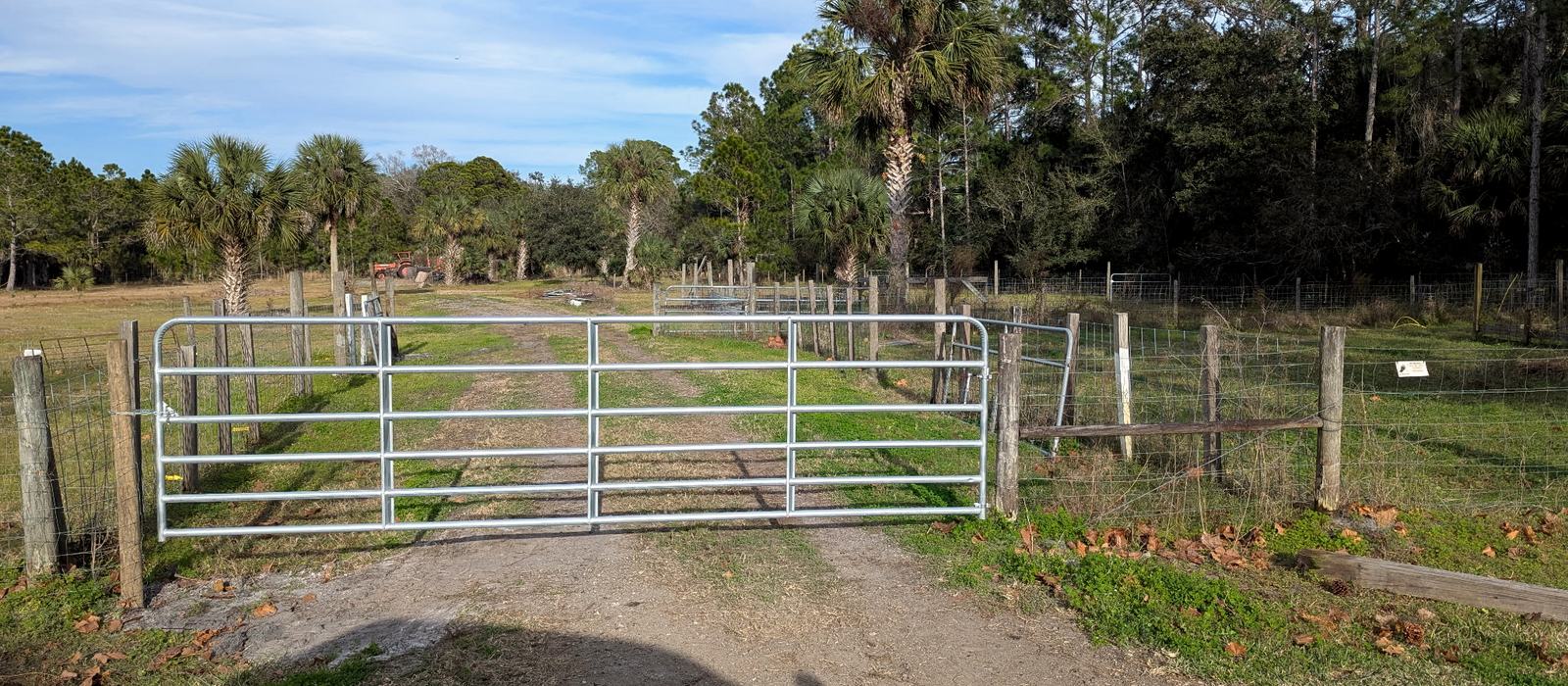 Before: pasture and palms behind a farm gate