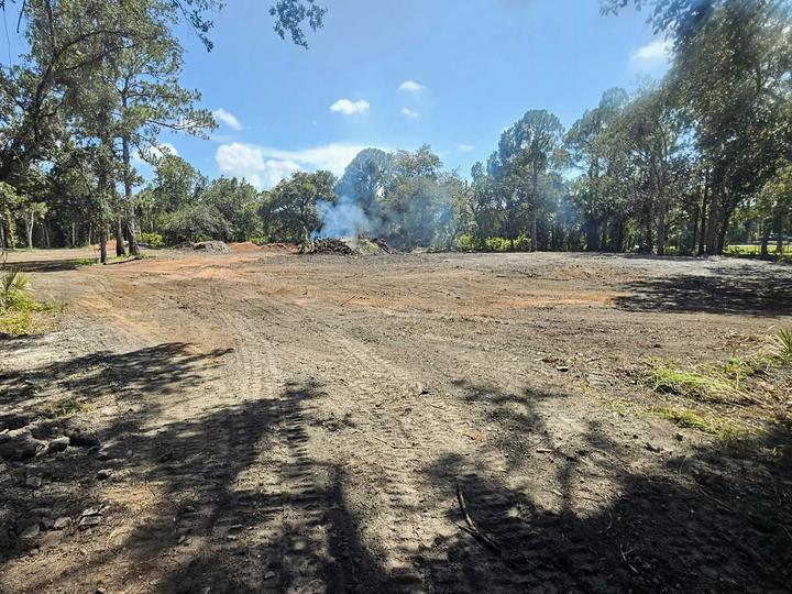 A cleared lot with the mature oaks left standing