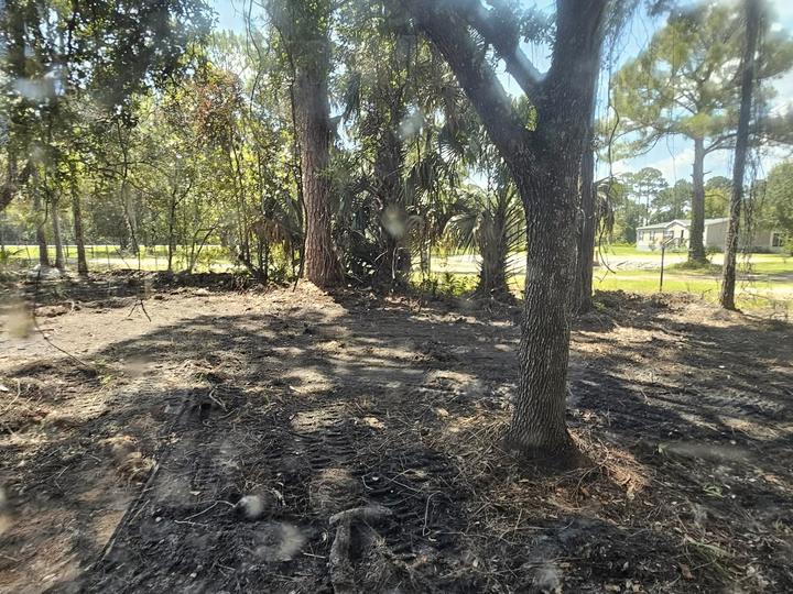 Land clearing, Central Florida