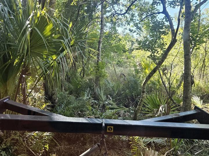 Land clearing, Central Florida