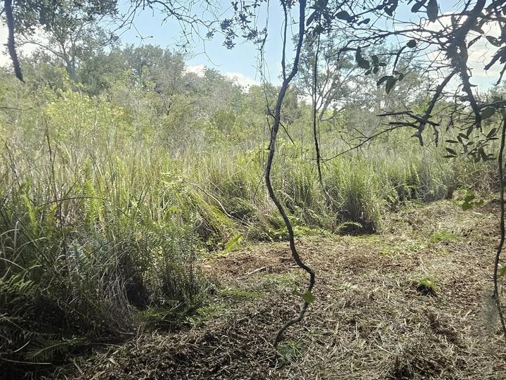 Land clearing, Central Florida