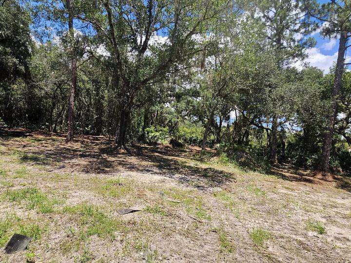 Land clearing, Central Florida