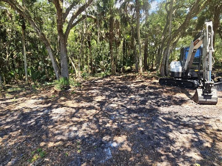 Land clearing, Central Florida