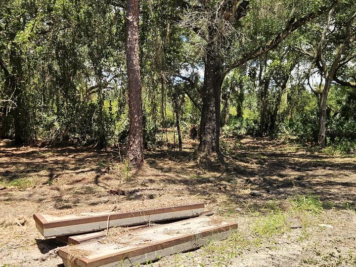 Land clearing, Central Florida