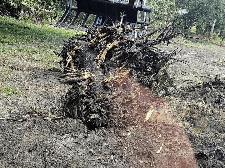 Debris and storm, Central Florida