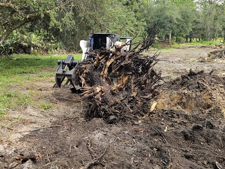 Land clearing, Central Florida