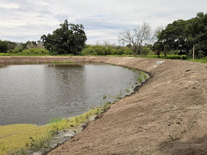 A finished pond with a shaped and graded shoreline