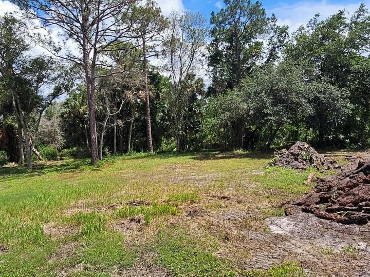 Root and brush pile stacked for haul off, Central Florida
