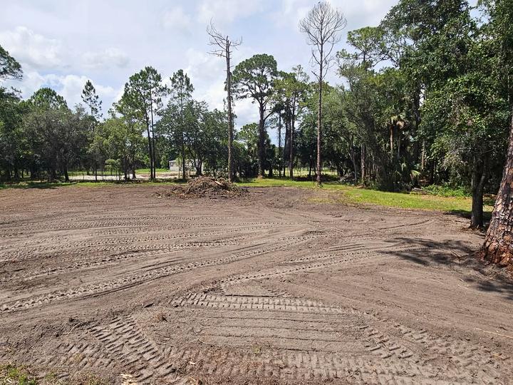 Land clearing, Central Florida
