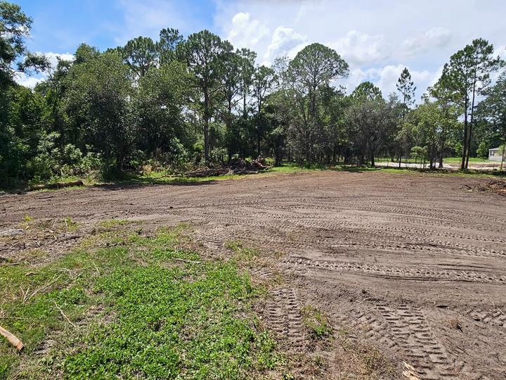 Land clearing, Central Florida