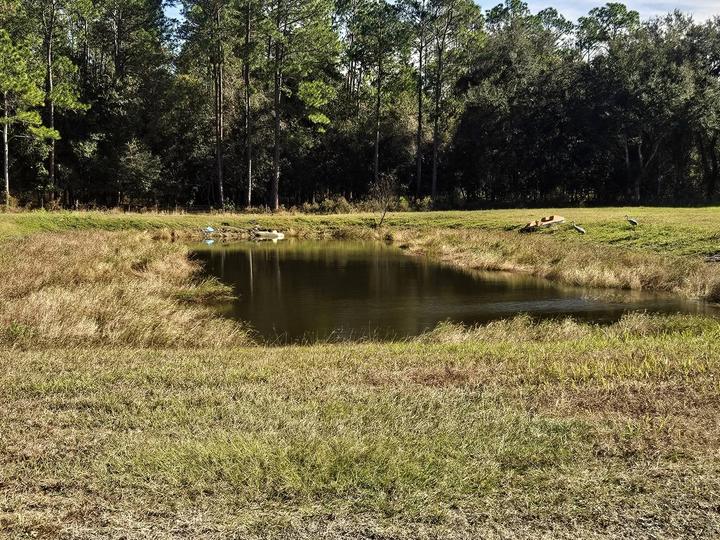 Excavating, Central Florida