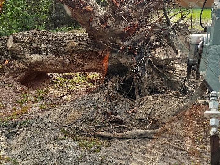 Excavating, Central Florida